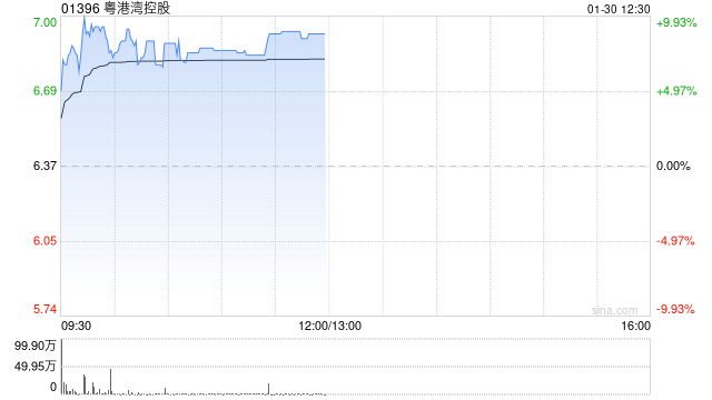 粤港湾控股午前涨近9% 公司收购天顿数据转型AI算力赛道