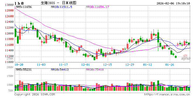 长安期货刘琳：生猪现货主导 价格依旧承压