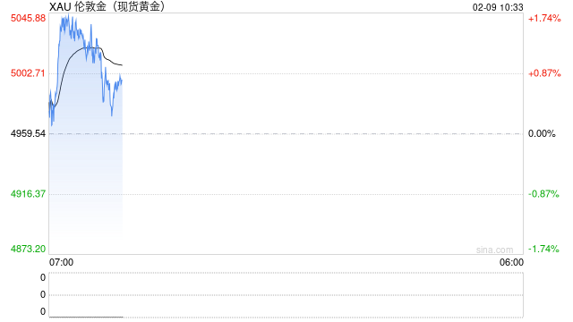 美元走弱与央行需求共振支撑金价，但美伊谈判或压制短期上行空间