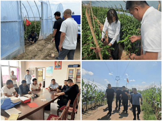 阳光财险：金融护农 为乡村振兴添“阳光”