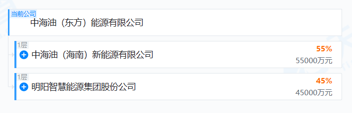 中国海油猛攻风电:这不是转型,是降维打击!