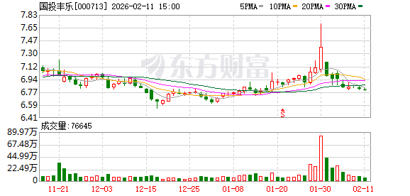 国投丰乐：截至2026年2月10日，公司股东人数61259户