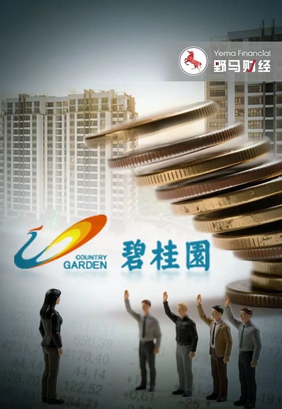 杨惠妍被罚、董事会力挺！碧桂园千亿债务危机解除了吗？