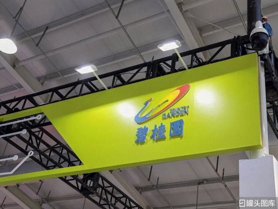 杨惠妍被罚、董事会力挺!碧桂园千亿债务危机解除了吗?