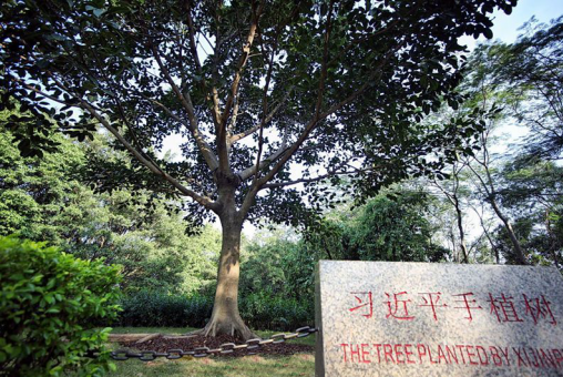 【申万宏源研究春节见闻】深圳：科创的咏叹，续写春天的故事