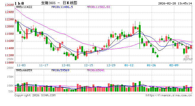 高瞻远“猪”:节后亏损再度加剧 生猪养殖何时走出困境?
