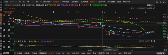 向日葵重组“画饼”遭重罚！证监会认定误导性陈述，受损股民速看