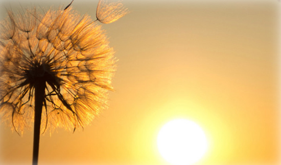 东方红资管难再“红”！