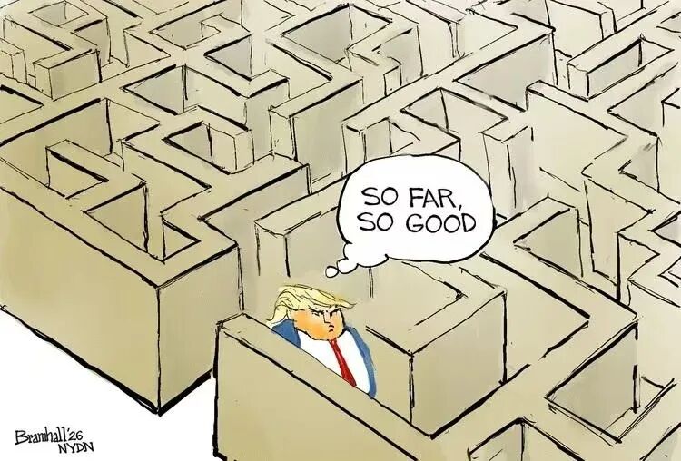 牛弹琴：戏剧性变化出现了