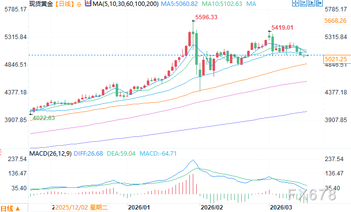 中东战事推升美元避险需求黄金承压,专家称金价与美元传统相关性已破裂