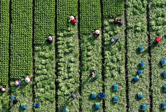 四川去年人口减少超40万，专家解读→