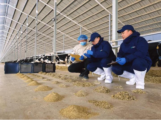 蒙牛发布2025年财报：进化强韧性，蓄力迎增长