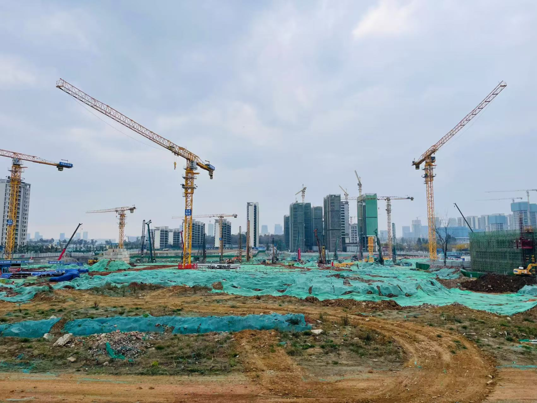 成都土拍“零流拍”:核心热、外围稳,分化中显韧性