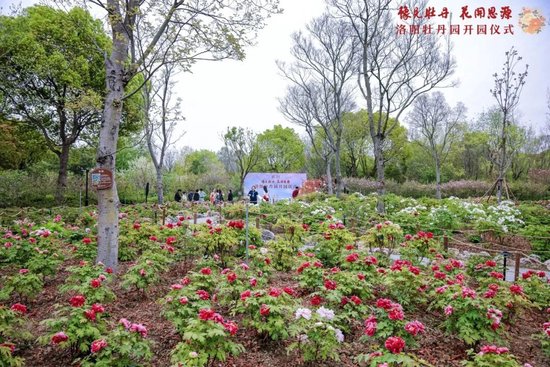 上海交通大学校友代表陈光明:校训精神已深入骨髓