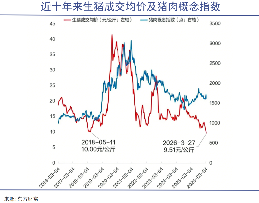 嗜血猪周期,前所未有