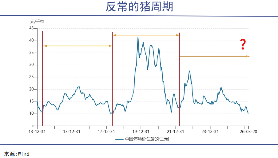 嗜血猪周期,前所未有