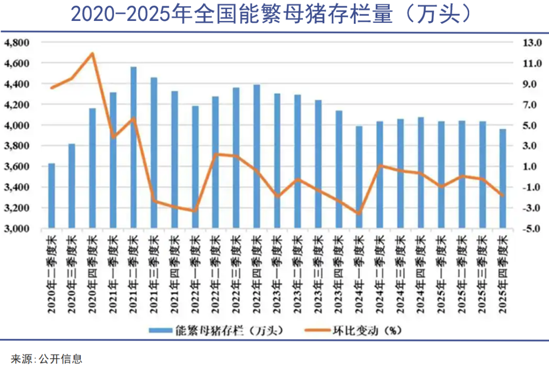 嗜血猪周期,前所未有