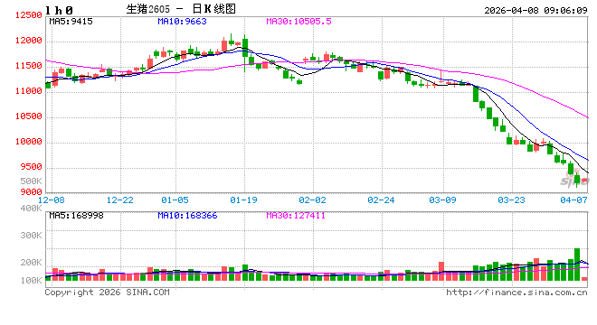 “多头不死、空头不止” 逾百亿资金鏖战生猪期货