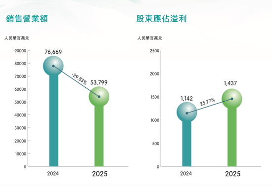 “铅蓄电池之王”天能动力营收暴跌，瘦身没有更健康
