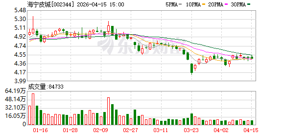 海宁皮城：2025年年度归属于上市公司股东的净利润70608731.75元