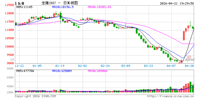 【生猪旬报】期现反弹修复后的市场展望
