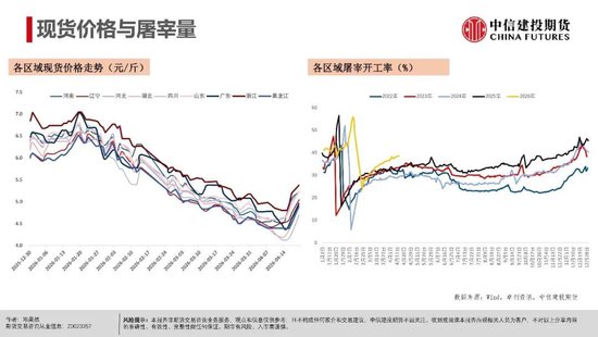 【生猪旬报】期现反弹修复后的市场展望
