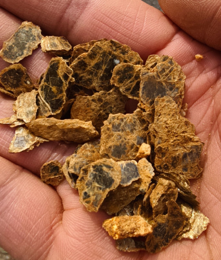 “爸爸，这座山下有黄金……”8岁男孩凭草辨矿？