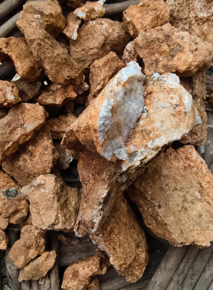 “爸爸，这座山下有黄金……”8岁男孩凭草辨矿？