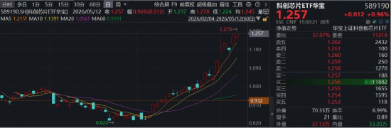 “为AI发电”组合逆市走强！华宝基金创业板人工智能ETF、电力ETF携手涨超1%！硬科技宽基双创50ETF续创新高