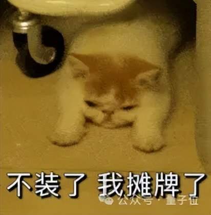 刚刚，马斯克公开SpaceX招股书